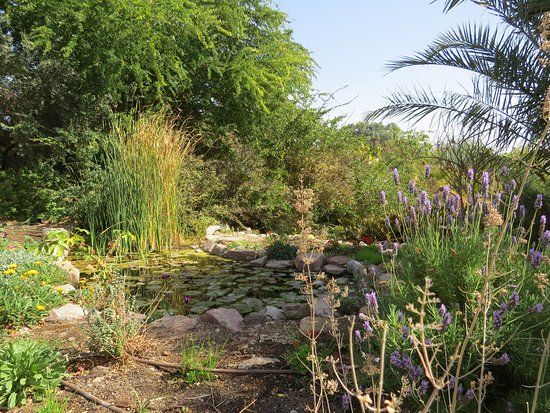 The Botanical Garden
